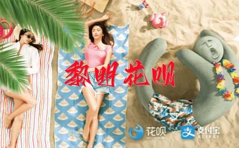 蓄势待发花呗